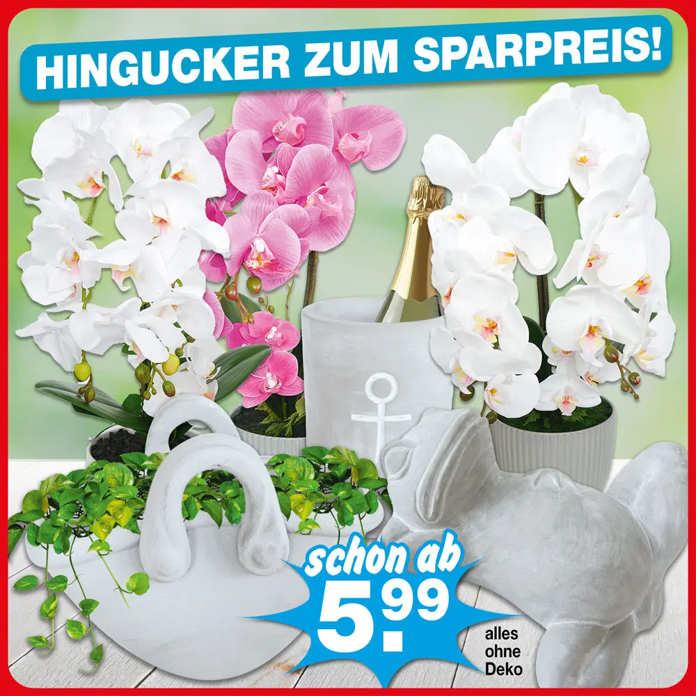 Deko zu Sparpreisen