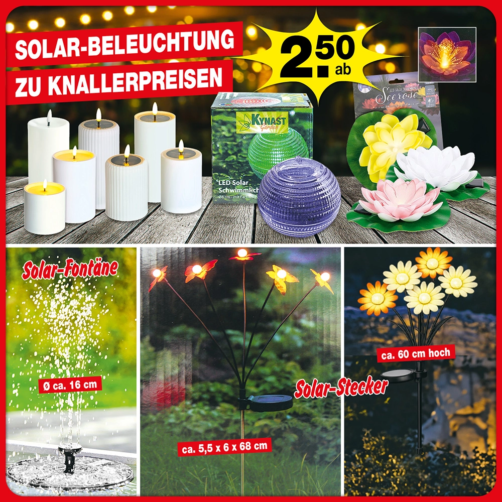 Erleuchtung im Garten…..