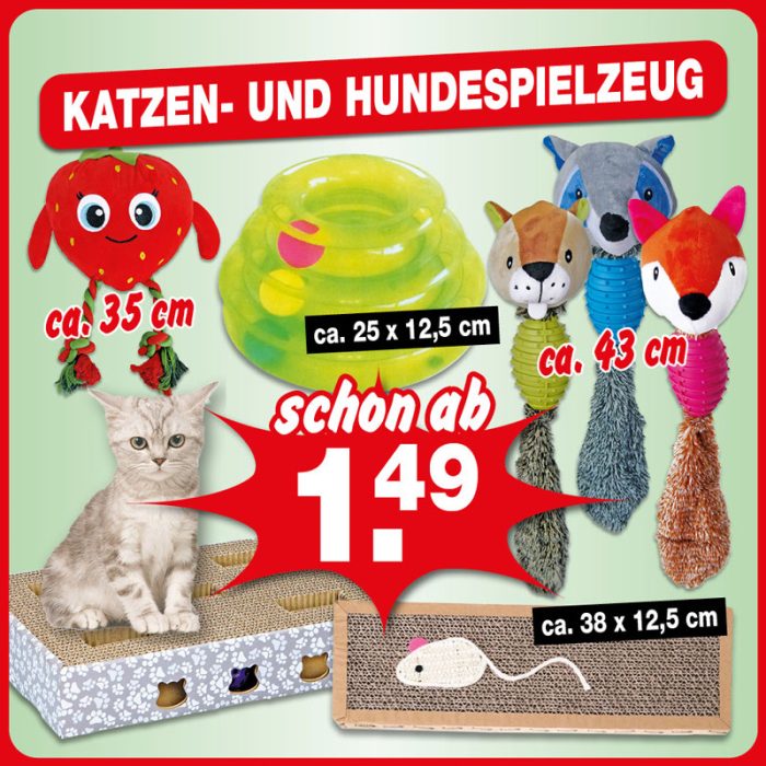 Katzen- und Hundespielzeug