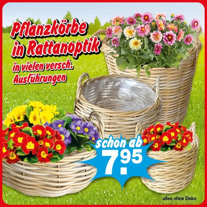 Pflanzkörbe in Rattanoptik